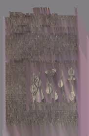 Image result for Synandrodaphne paradoxa