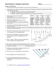 Kingdom classification worksheet assign each mystery organism to a kingdom based on the description. Classification Kingdoms