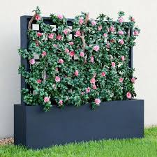 Many roses have climbing habits and are stunning on pergolas and trellises. Trellis Planters With Uv Rated Faux Vines Commercial Grade