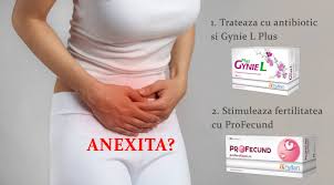 Check spelling or type a new query. Facebook