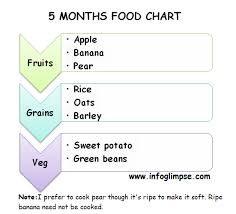 chikku world food chart and recipes for 5 months old baby