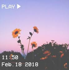A penrose tiling is an example of non periodic tiling generated by an aperiodic set of. Aesthetic Sunflower Flower Aesthetic Aesthetic Wallpapers Purple Aesthetic