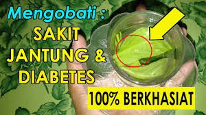Jika tidak perlu dirawat di rumah sakit, bisa dirawat saja di rumah. Info Penting Cara Cegah Sakit Jantung Dan Diabetes Dengan Ramuan Herbal Ini Sehat Cara Mudah Bulan Mei 2019 Jazz Indonesia