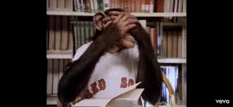 By scott beale on october 15, 2008. Is It Common Knowledge That The Head Over Heels By Tears For Fears Video Has A Monkey With A Red Sox Jersey 10 10 Video Redsox