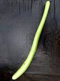 Image result for Lagenaria abyssinica