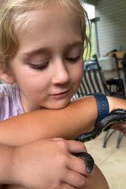 PERFECTION!! If only my cats would bring me snakes! Maybe someday! If only  I could get that lucky. 🥰🥰 #cats #snakes