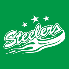 They play in the 2nd bundesliga, the second highest league in germany. 837jmoyoendhmm