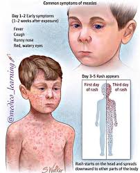 Dermatologist& Cosmetics