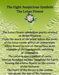 Lotus Flower Buddha Quotes Quotesgram Buddhism Buddha Buddhism Symbols