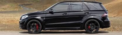 Blacked Out Ml350