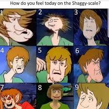 How are you feeling today cat meme drawception. How Do You Feel Today On The Shaggy Scale Meme Ahseeit