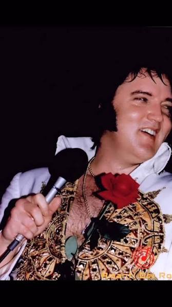 #onthisday 47 years ago, Elvis Aaron Presley performed his last show. He  took the stage for the very last time on June 26th, 1977 at the Market  Square arena in Indianapolis, Indiana. 18,000 people got ...