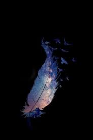 Black Wallpaper Hd Wallpaper Iphone Neon Feather Wallpaper Pretty Wallpaper Iphone