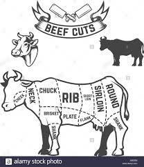 Beef Cuts Butcher Diagram Cow Illustrations On White