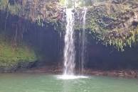 Image result for twin falls rainforest maui