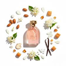 Shahd EDP | Sweet Warm Elegant Fragrance for Women – Palette 21
