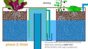 Why You Should Use A Bell Siphon For Aquaponics World Water Reserve