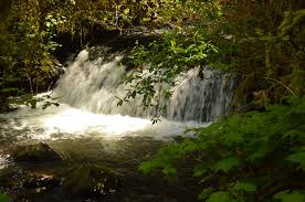 Check spelling or type a new query. Mcdowell Creek Falls Hike Oregon