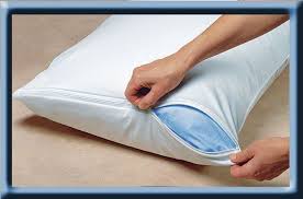 Pillow Safe Anti Dustmite Pillow Protector Made In Usa By Mattress Safe Pillow Safe Anti Dustmite Pillow Protector Set Of Pillow Protectors Pillows Mattress