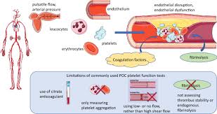 Image result for Platelet Dysfunction