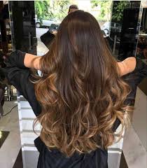 Hairstyle Brown Blond Hair Styles Hairstyle Hair Color