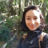 100+ "Perez Gatica" profiles