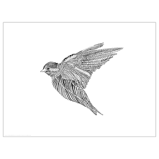 Bild Poster Black Birdie 40x30 Cm Ikea Schwarzes Bild Bilder Bilderrahmen Gunstig