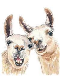 Original Llama Watercolor Painting 11x14 Painting Selfie Funny Animal Illustration Llama Painting Funny Paintings Funny Art