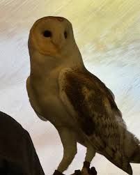 Erica Marie Loring (@tothineownself) • Instagram photos and videos