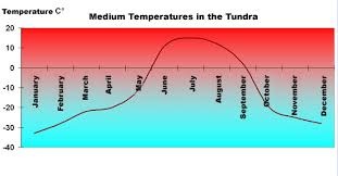 Temperature In The Tundra Eniscuola