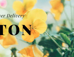Maybe you would like to learn more about one of these? The 8 Best Options For Flower Delivery In Albany Ny 2021