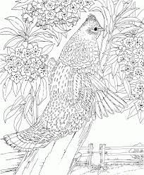 Complex coloring pages allow artistic teens and adults to express themselves and escape in a world of color. 11 Pics Of Complicated Animal Coloring Pages Complex Animal Coloring Home