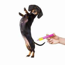 Check spelling or type a new query. Pet Shot Express Posts Facebook