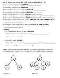 According to the cell theory, new cells are only created by the division of existing cells. Mitosis And Meiosis Webquest Level 1 By Paulina Reece Tpt