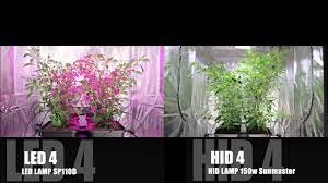 Check spelling or type a new query. Led Vs Hid Grow Lights The Final Chilli Battle Youtube