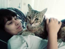 Lost cat at Taloga Short Stop