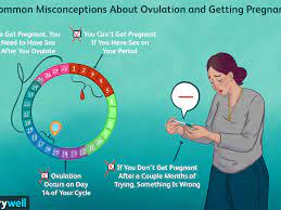16 Myths About Getting Pregnant And Ovulation