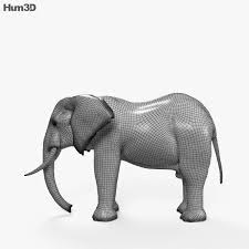 3d Model Of African Elephant Hd African Elephant Elephant 3d Model