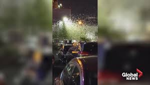 Grasshoppers invade Las Vegas Strip in apocalyptic swarm - National |  Globalnews.ca