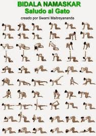Pin By Johnnie Preston On All Integral Yoga Yoga Asanas Prana Yoga