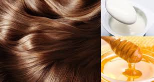 6 ماسك الزبادي والعسل للشعر http www mixturesface com 2016 06 6 mask yogurt and honey for hair html