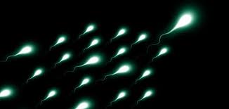Fast facts on retrograde ejaculation men with retrograde ejaculation may ejaculate nothing at all. Ø£Ø³Ø¨Ø§Ø¨ Ù‚Ù„Ø© ÙƒÙ…ÙŠØ© Ø§Ù„Ø³Ø§Ø¦Ù„ Ø§Ù„Ù…Ù†ÙˆÙŠ Ù…ÙˆØ¶ÙˆØ¹