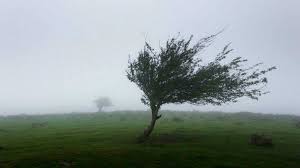 Roth lo define como «la compensación de las diferencias de presión atmosférica entre dos puntos». Que Hacer En Una Situacion De Fuertes Vientos Rtve