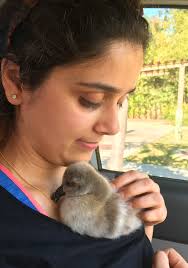 Capture Report, August 2016