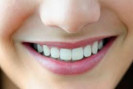 Delta dental is the nation's biggest provider of dental insurance. Va Dental Insurance Program Health Benefits