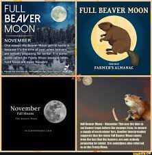 FULL BEAVER MOON NOVEMBER One reason the Beaver Moon got its name is  because it's the