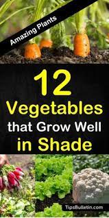 Learn these vegetables names to increase your vocabulary words about fruits and vegetables in english. 47 Best Ants In Garden Ideas Ants In Garden Growing Vegetables Vegetable Garden Raised Beds