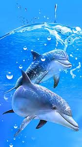 Pin Von Yasemin Karabacak Auf Resim Wassertiere Delfine Bilder Delfin Malen