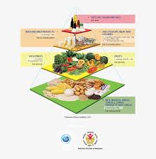 Nutrition society malawi, lilongwe, malawi. Guide To Healthy Eating Nutrition For Old Age Transparent Png 603x760 Free Download On Nicepng