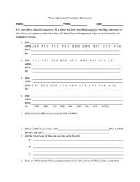 G t a c g c g t a t a c c g a c a t t c mrna: Transcription And Translation Practiceworksheet